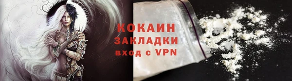 прущие грибы Пересвет