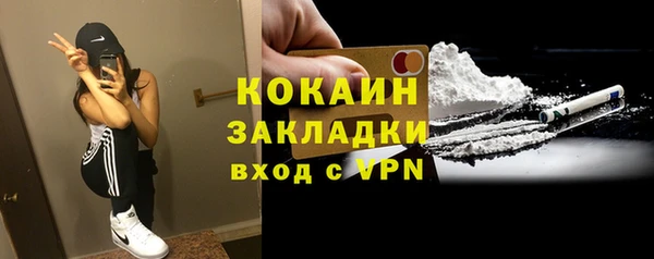 прущие грибы Пересвет