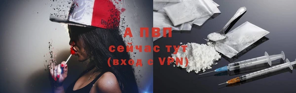 прущие грибы Пересвет