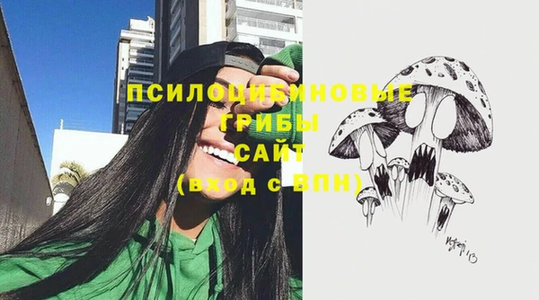 прущие грибы Пересвет