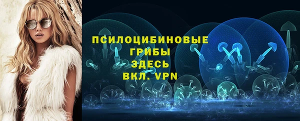 прущие грибы Пересвет