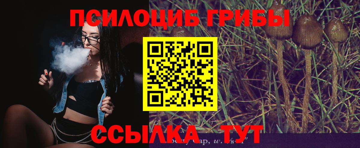 Псилоцибиновые грибы мухоморы  Псилоцибиновые грибы MAGIC MUSHROOMS  цена наркотик  Большой Камень 
